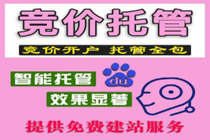 百度竞价赚钱的实战案例分析
